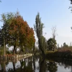 Todo lo que debes saber sobre las chinampas de Xochimilco