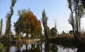 Todo lo que debes saber sobre las chinampas de Xochimilco
